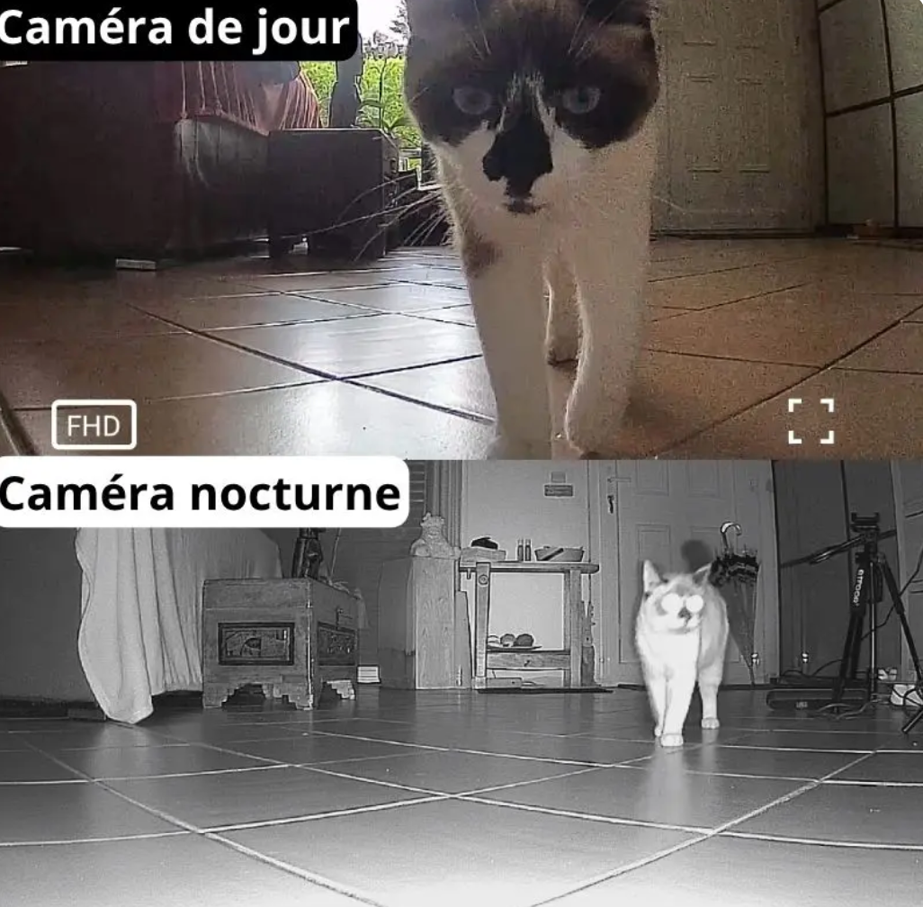 Distributeur Intelligent