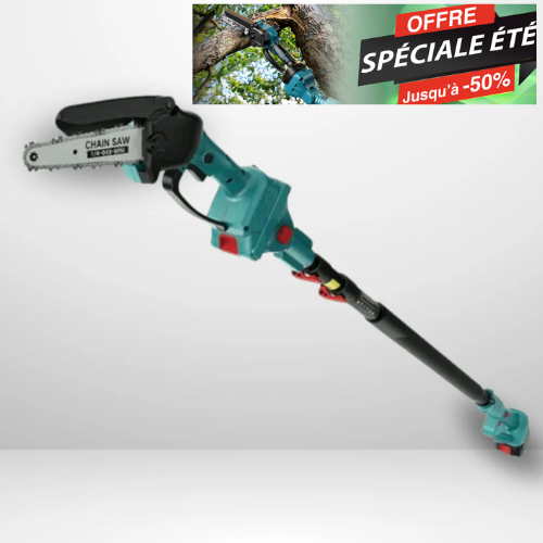 Tronçonneuse sans fil 2 en 1 avec perche